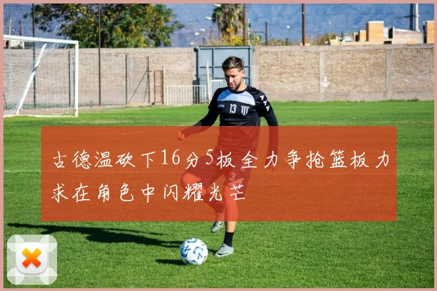 古德温砍下16分5板全力争抢篮板力求在角色中闪耀光芒